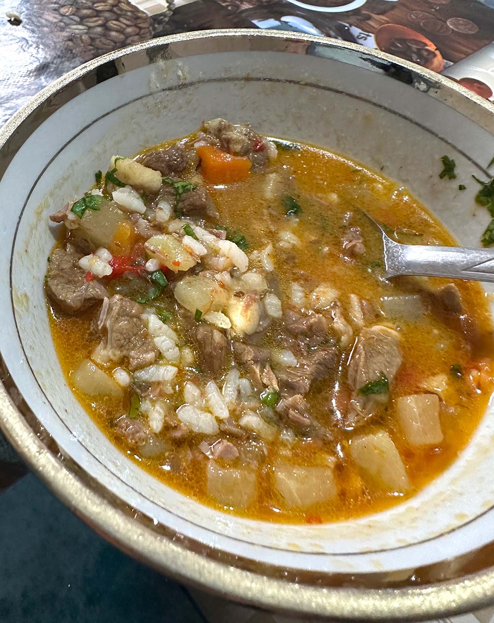 Uzbekistan Parkent Sohil Cafe Mastava Soup