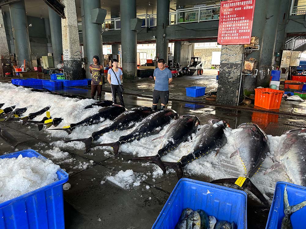 Taitung Chenggong Fish Market Fish