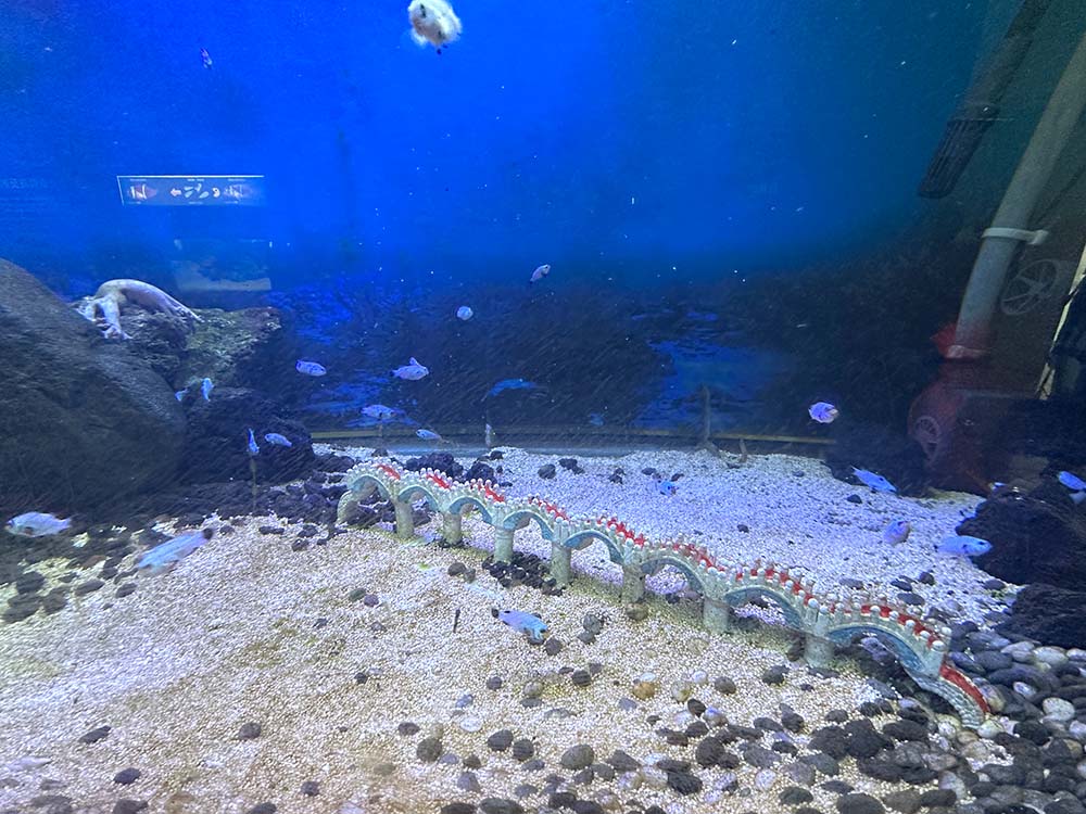 Taitung Chenggong Marine Centre Tank Sanxiantai