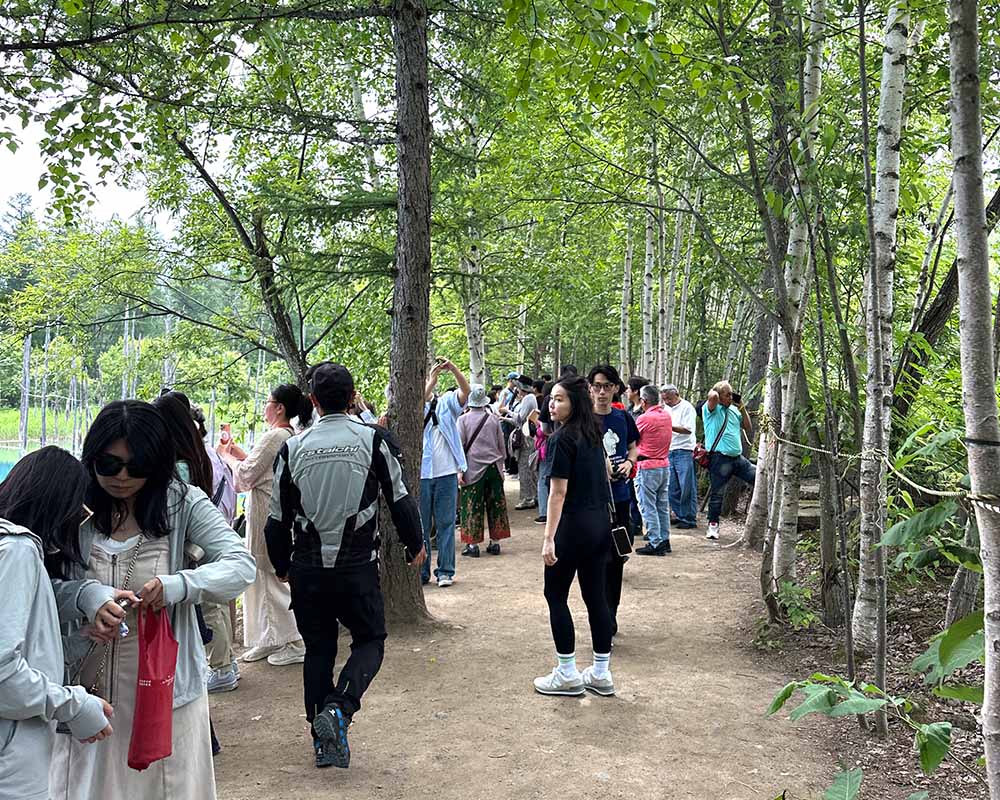 Hokkaido Furano Aoi Blue Pond Crowd