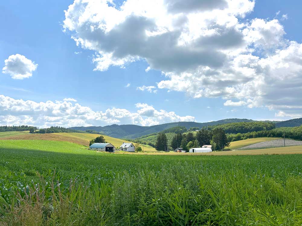 Hokkaido Furano Fields