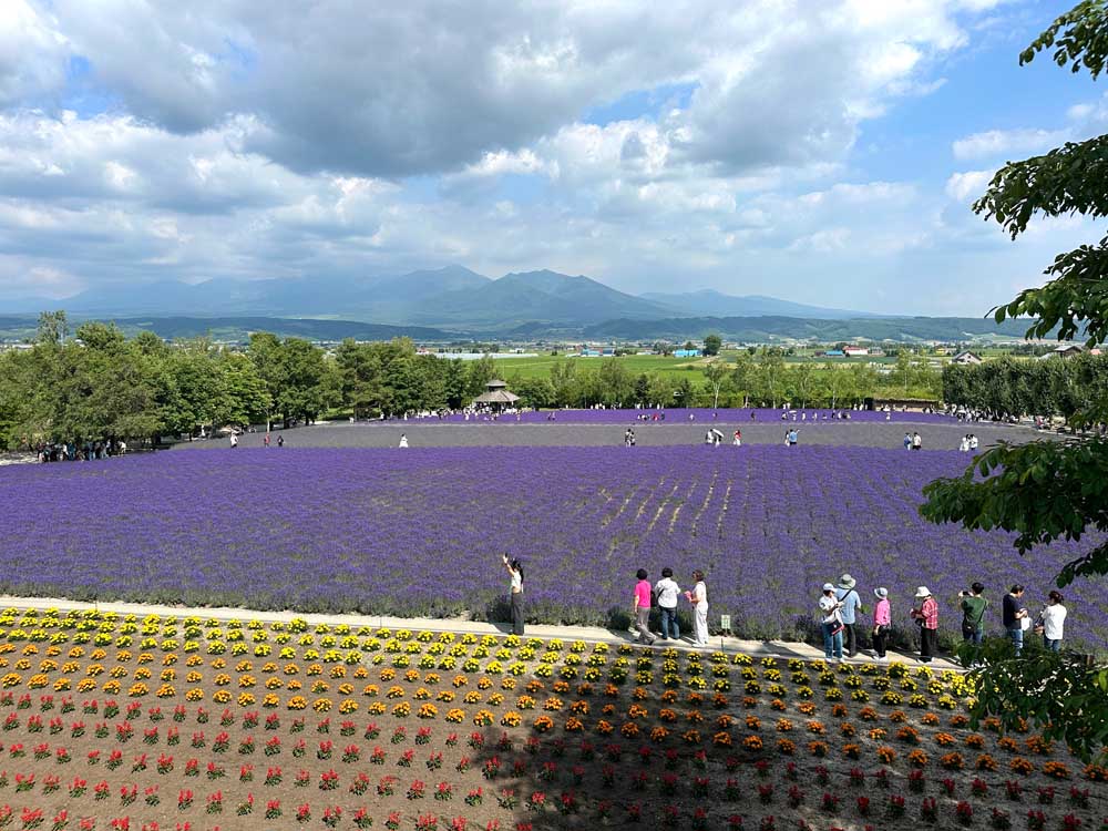Hokkaido Furano Farm Tomita Fields Above