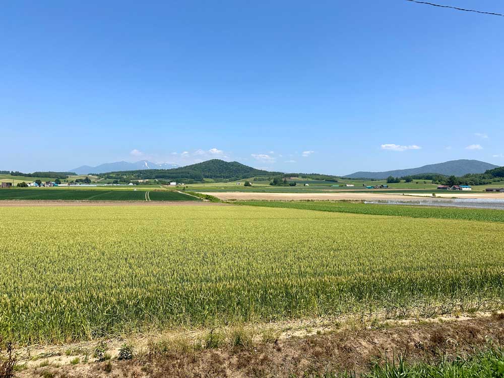 Hokkaido Furano Rice Mountain